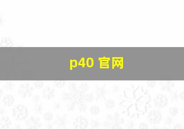 p40 官网